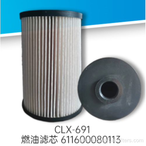 Auto Filter Fuel Filter for 611600080113 Manufactory